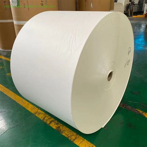 Single Side Pe Coated Cup Stock Board Paper Factory Wholesale China