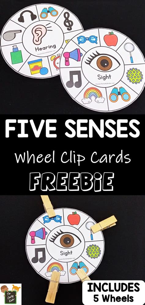 Five Senses Clip Cards Artofit