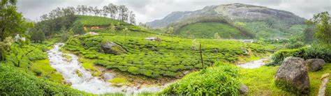 Munnar Hill Station | Places to Visit in Munnar