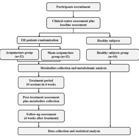 Flowchart Of The Trial Design Download Scientific Diagram