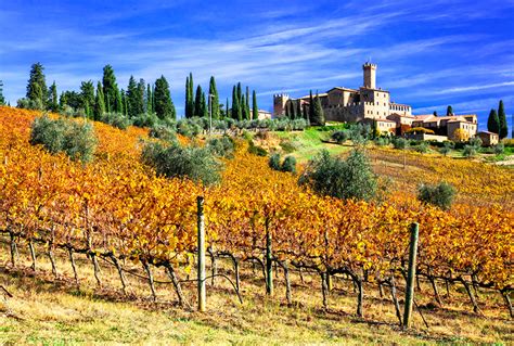 Cantine Aperte Da Donatella Cinelli Colombini Corriere Del Vino