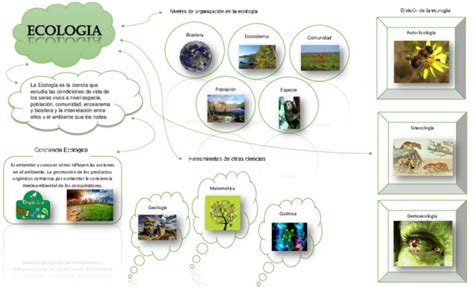 Arriba 65 Imagen Ecologia Humana Mapa Mental Abzlocal Mx