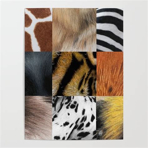 Animal Fur Textures in Colored Pencil Poster by JasminaSusak | Society6