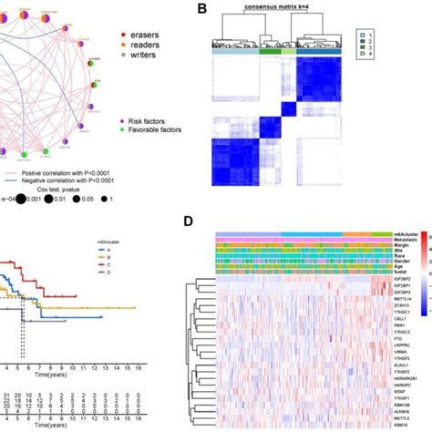Establishment of m 6 A methylation modification patterns. (A ... 