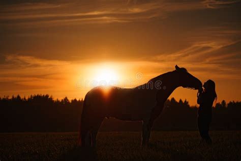 Horse and Girl at Sunset stock photo. Image of beautiful - 63915612