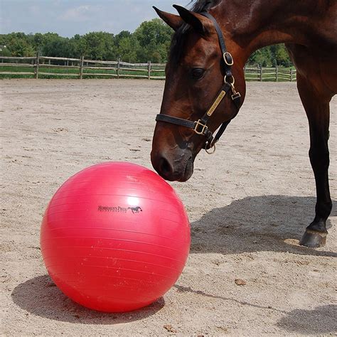 HORSEMEN'S PRIDE Mega Ball Horse Toy, Red, 25-in - Chewy.com