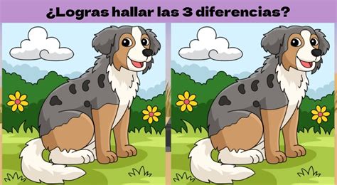 Reto Visual Solo Para Mentes BRILLANTES Encuentra Las 3 Diferencias