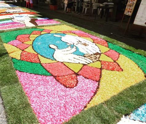 Nonaedizione Infiorata2016 Castelbuono Promomadonie M Flickr