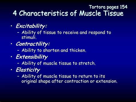 Human Muscular System Svhs Adv Biology Unit 6 Ppt Download