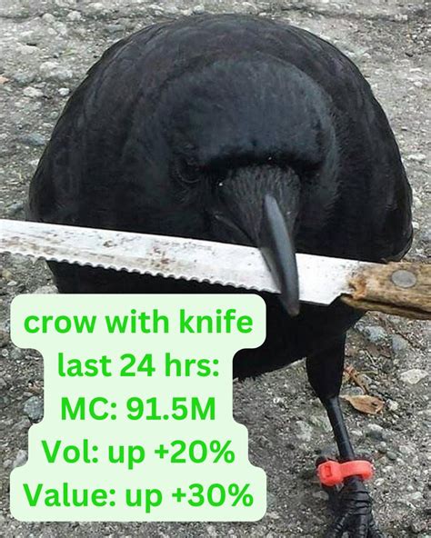 crow with knife is making GAINS! : r/memecoins