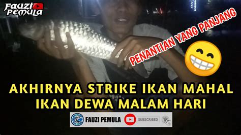 STRIKE IKAN MAHAL IKAN DEWA BERBURU IKAN MAHSEER MALAM HARI YouTube