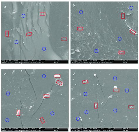 Sem Images Of Freeze Fractured A B And Tension Fracture C D Surface