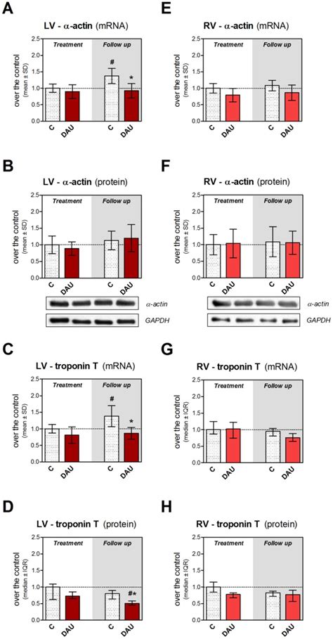 Gene Expression Of Cardiac α Actin A E And Cardiac Troponin T C G