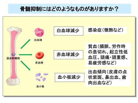 がん化学療法の副作用対策入門 倫理教材lab （ラボ）