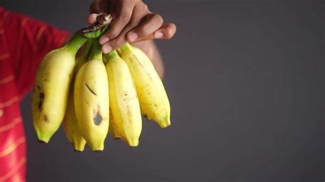 Banana Stock Video Footage for Free Download