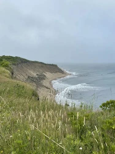 2023 Best Wild Flowers Trails In Block Island Alltrails