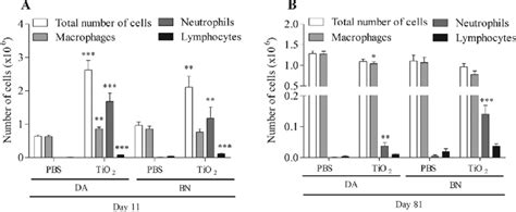 Analysis Of Leukocytes In Balf From Na Ve Rats On Day Or Total