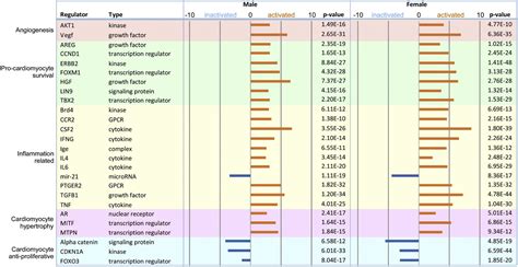 Sex Differences In Arteriovenous Fistula Induced Cardiac Hypertrophy Lead To Similar