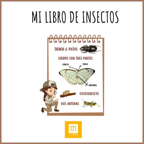 Mi Libro De Insectos Diveraprender