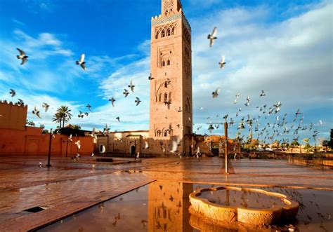 Top 5 must see attractions in Marrakech - Wanted in Africa