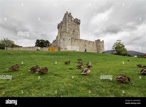 Castle ross ireland Stock Photo - Alamy