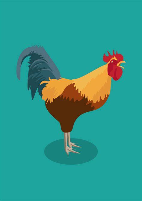 Ayam Jago - Rooster #ayam #jago #jantan #rooster #animal #illustration ...