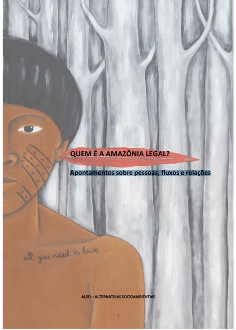 Quem é A Amazônia Legal Apontamentos Sobre Pessoas Fluxos E Relações