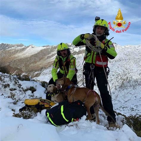 Due Cani Recuperati Dai Vigili Del Fuoco A Oltre Duemila Metri