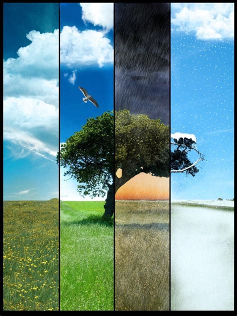 Four Seasons Time Lapse Photography Pretty Pictures Art Pictures