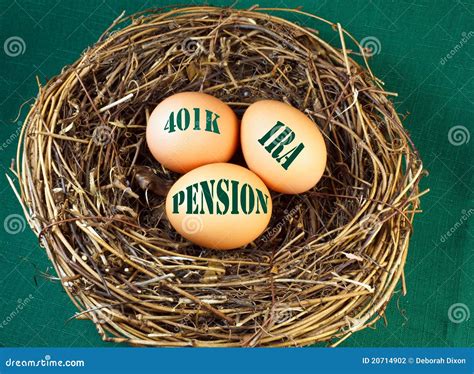 Nest Egg For Retirement Stock Photo Image Of Nest Planning 20714902