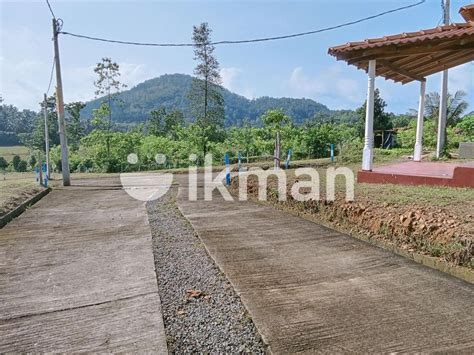 Land For Sale Ingiriya Ikman