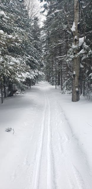 Photo Album Trail Report Bally Creek Trails