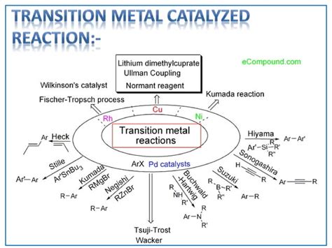 Transition Metal And Organo Catalysis Ppt