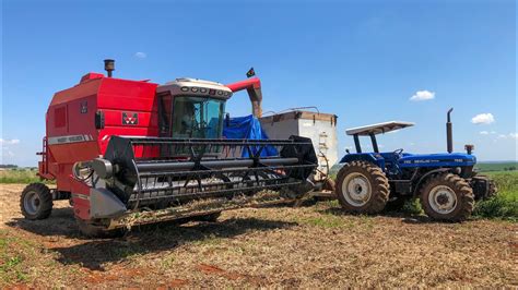 COLHEITADEIRA MASSEY FERGUSON 5650 NA COLHEITA DA SOJA COMPACTA 65i65