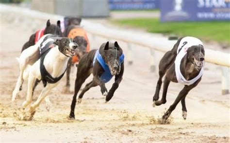 Family sells Nottingham Greyhound Stadium | TheBusinessDesk.com