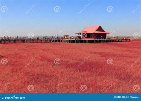 Red Beach Of Panjin In China Royalty-Free Stock Image | CartoonDealer ...