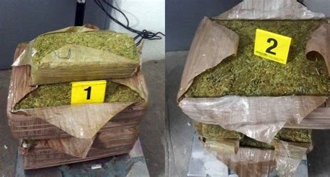 Guardia Nacional Asegura Kilos De Marihuana En Aeropuerto De Slp