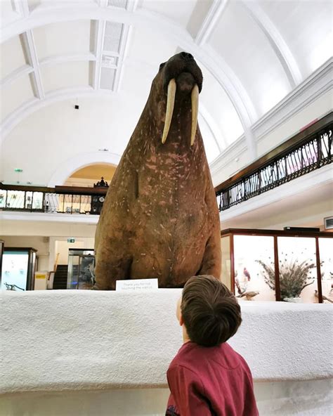 Visiting The Horniman Museum