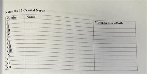 Solved Name the 12 Cranial Nerve | Chegg.com