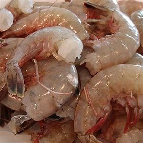 21 25 Gulf White Shrimp Large Headless Iqf 1 Lb