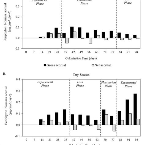 Periphyton Gross And Net Accrual Rate Chlorophyll A Over The