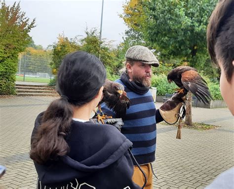 Andere Tiere Beobachten Warum Ist Das Sinnvoll Cornelius Burgh