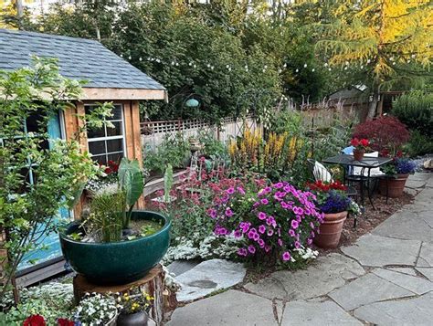 Suburban Sanctuary A Garden For Food And Wildlife Garden Design