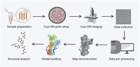 Cryo Em Single Particle Analysis Technology Cryoem Solutions