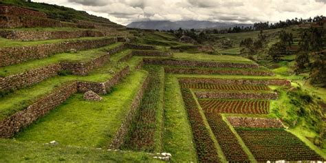 Agricultural Technology Used By The Incas Inca Agriculture