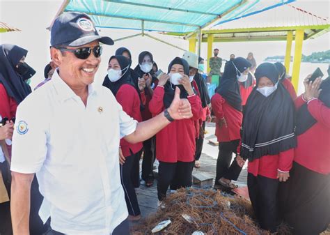 Hari Laut Sedunia Menteri Kkp Dorong Produktivitas Rumput Laut