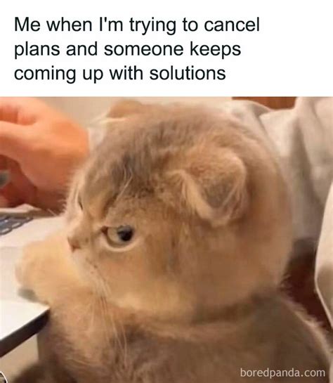 30 Of The Most Painfully Relatable Memes For Introverts As Shared On