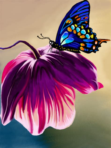 Butterfly And Flower Drawings