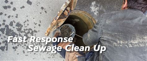 Sewage Damage Clean Up Assure Services NI