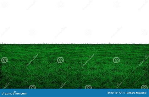 Realistic Green Grass Field On White Background Vector Stock Image